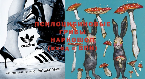 спиды Алексеевка