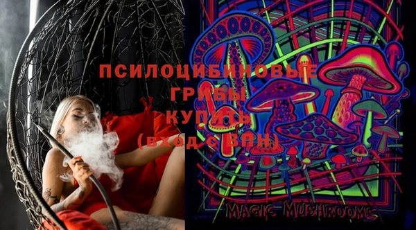 apvp Алзамай