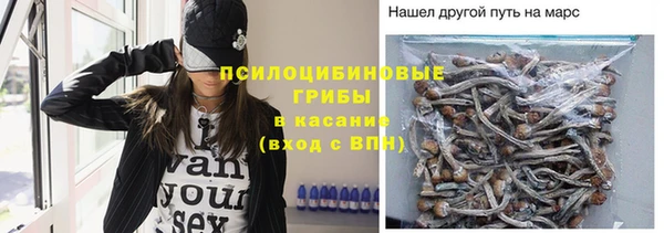 спиды Алексеевка