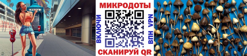 как найти наркотики  Кувшиново  Псилоцибиновые грибы Magic Shrooms 